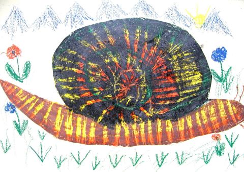 Archiv-Bild „Schnecke“