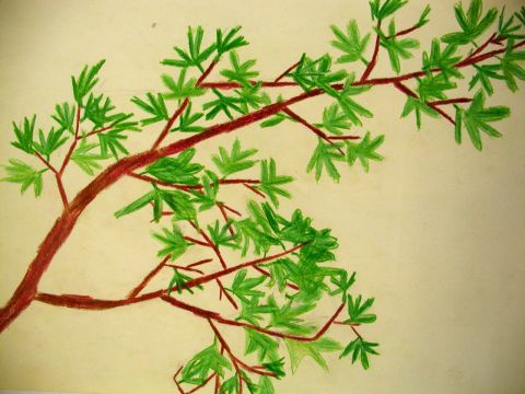 Archiv-Bild „Blätterzweig“