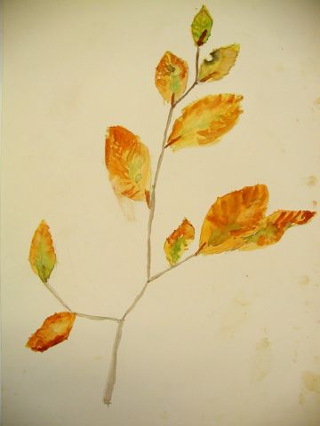 Archiv-Bild „Buchenzweig“