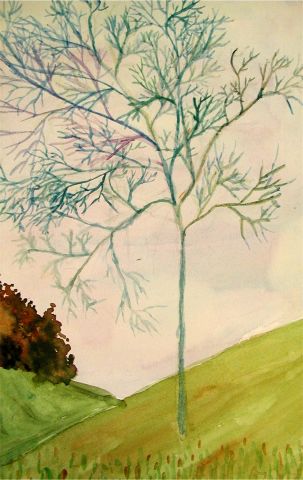 Archiv-Bild „Baum ohne Blätter“