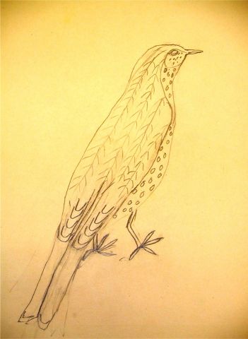 Archiv-Bild „Vogel“