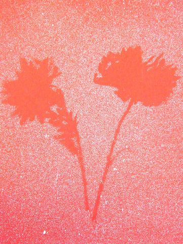 Archiv-Bild „Zwei Blumen“