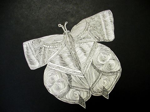 Archiv-Bild „Schmetterling mit runden Flügeln“