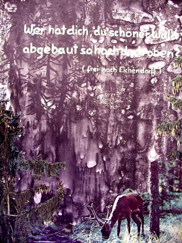 Archiv-Bild „Wald (nach Eichendorff)“