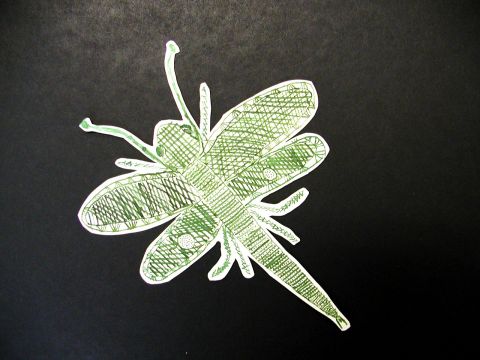 Archiv-Bild „Libelle“