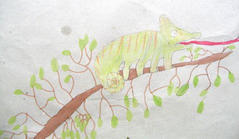 Archiv-Bild „Chamäleon“