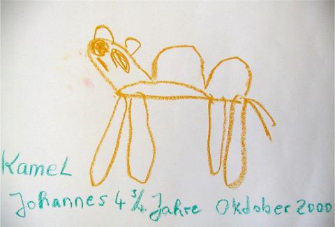 Archiv-Bild „Kamel“