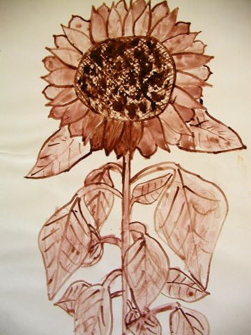 Archiv-Bild „Sonnenblume“