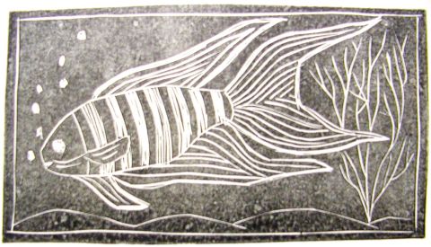 Archiv-Bild „Fisch mit Luftblasen“