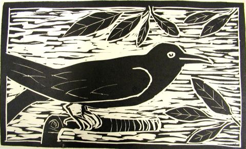 Archiv-Bild „Amsel“