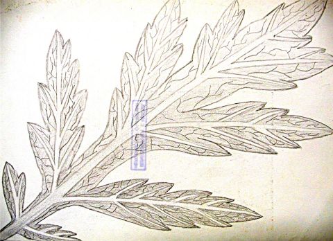 Archiv-Bild „Zweig“