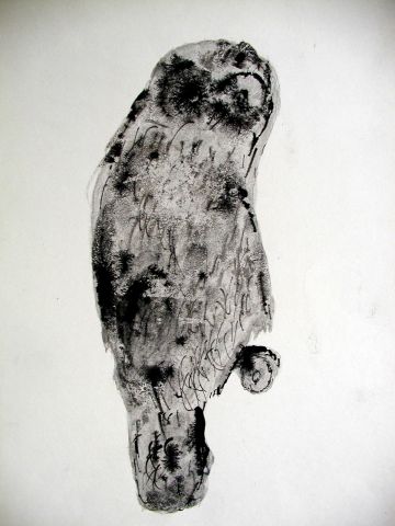 Archiv-Bild „Eule“