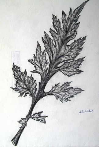 Archiv-Bild „Blatt, detailliert“