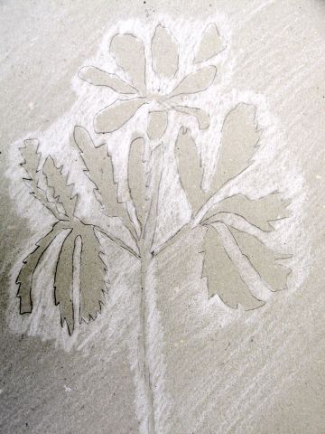 Archiv-Bild „Blume“