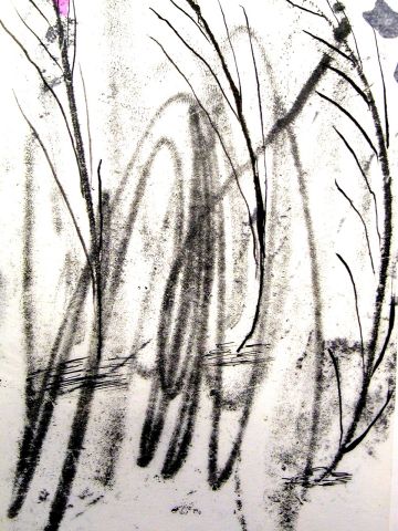 Archiv-Bild „Stadt und Natur“