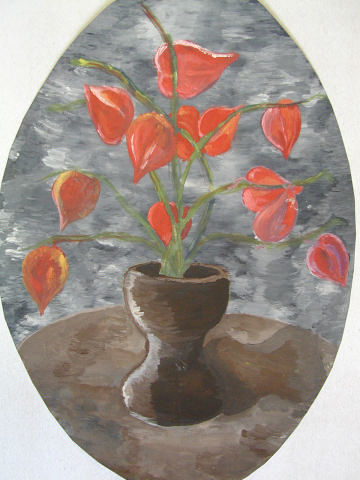 Archiv-Bild „Lampionblumen“