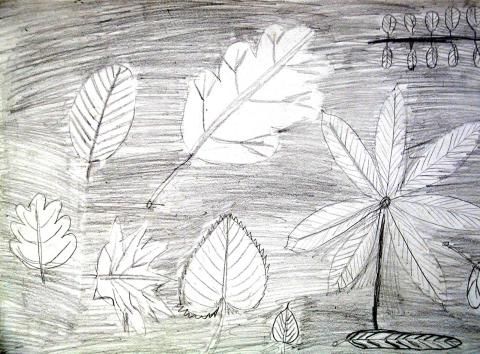 Archiv-Bild „Blätter“