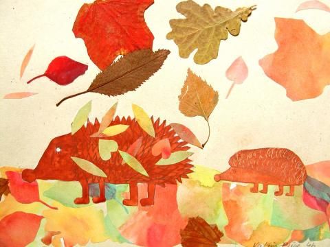 Archiv-Bild „Igel im Laub“