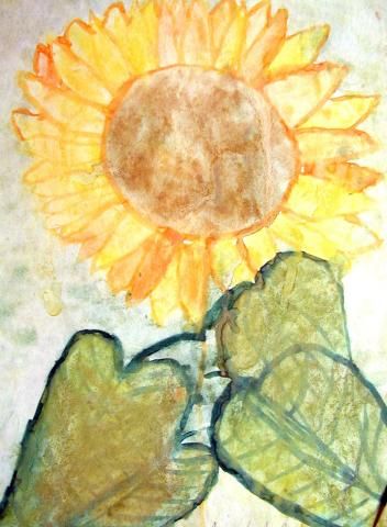 Archiv-Bild „Sonnenblume“