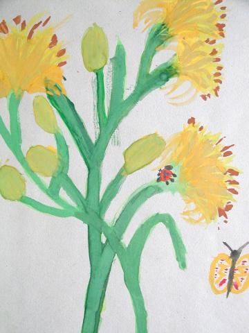 Archiv-Bild „Wiesenblumen“