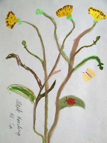 Archiv-Bild „Wiesenblumen“