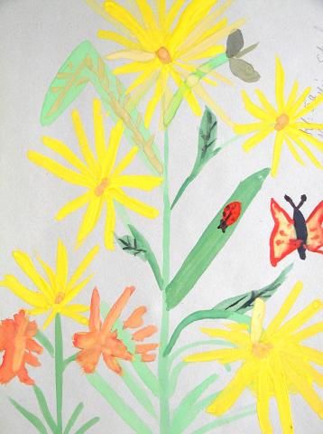 Archiv-Bild „Wiesenblumen“