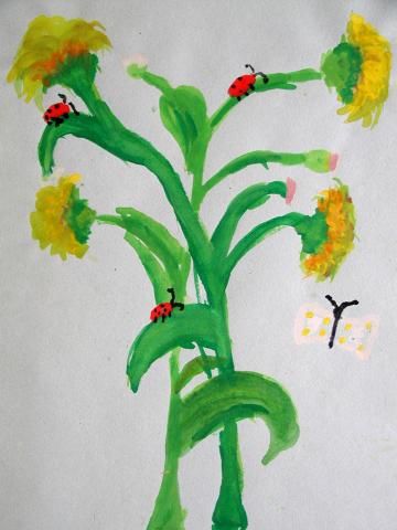 Archiv-Bild „Wiesenblumen“