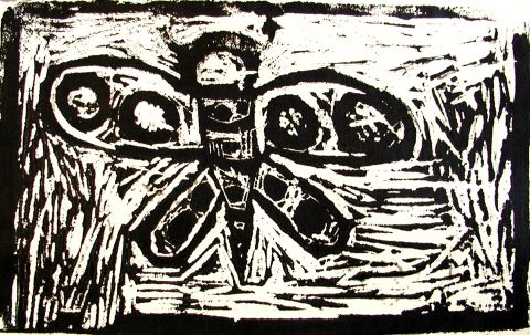 Archiv-Bild „Schmetterling“