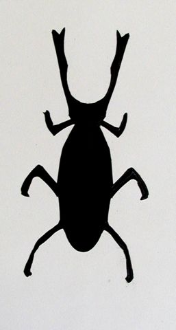 Archiv-Bild „Käfer“