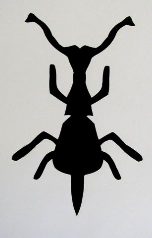 Archiv-Bild „Käfer“