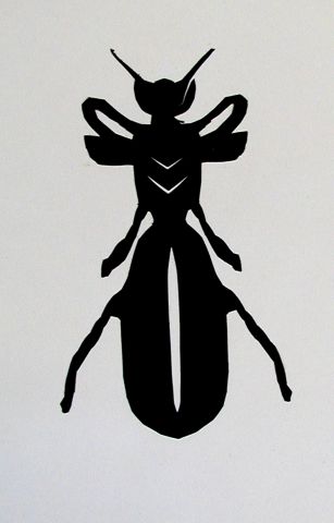 Archiv-Bild „Käfer“