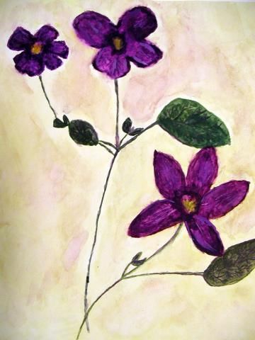 Archiv-Bild „Clematis mit lila Blüten“