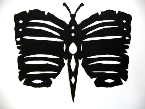 Archiv-Bild „Schmetterling“