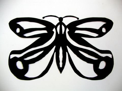 Archiv-Bild „Schmetterling“