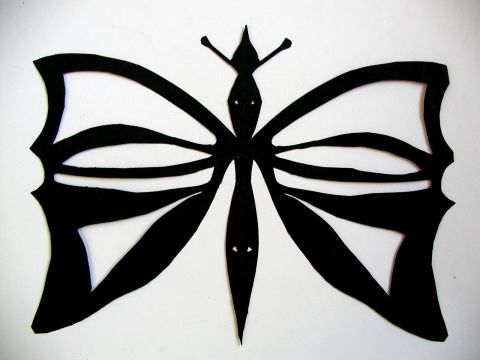 Archiv-Bild „Schmetterling“