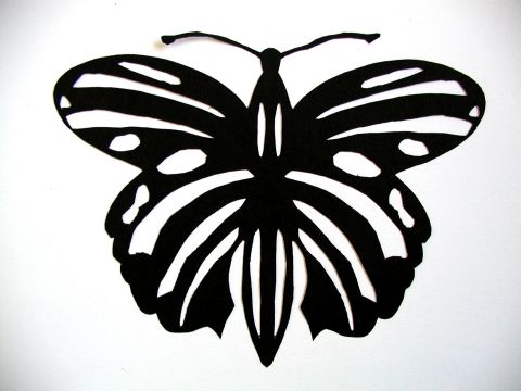 Archiv-Bild „Schmetterling“