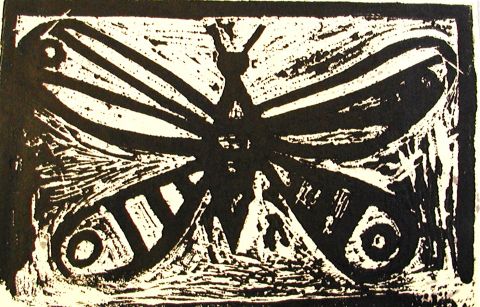 Archiv-Bild „Schmetterling“