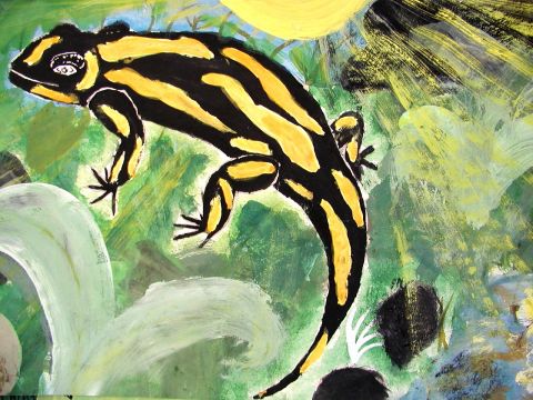 Archiv-Bild „Salamander“