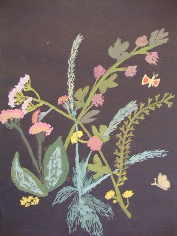 Archiv-Bild „Wiesenpflanzen“