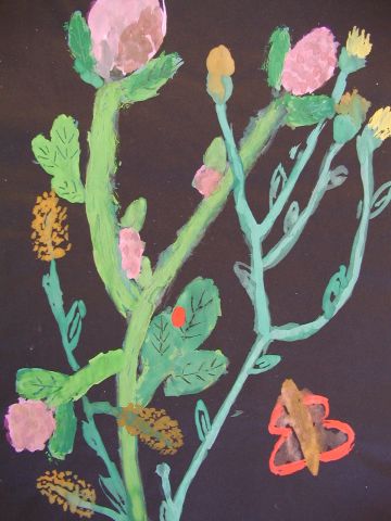 Archiv-Bild „Wiesenpflanzen“