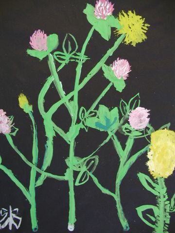 Archiv-Bild „Wiesenpflanzen“