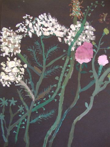 Archiv-Bild „Wiesenpflanzen“