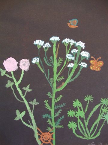 Archiv-Bild „Wiesenpflanzen“