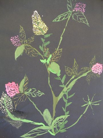 Archiv-Bild „Wiesenpflanzen“