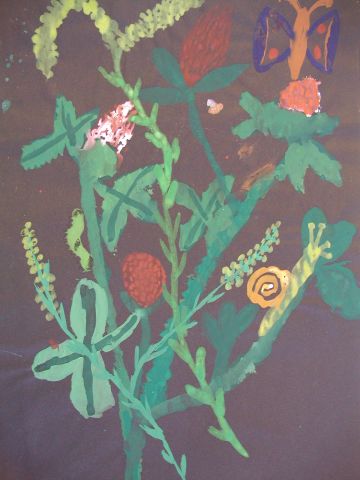 Archiv-Bild „Wiesenpflanzen“