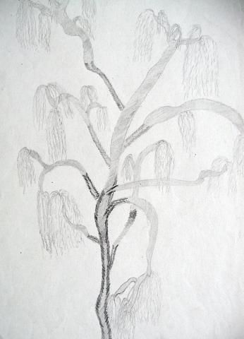 Archiv-Bild „Baum“