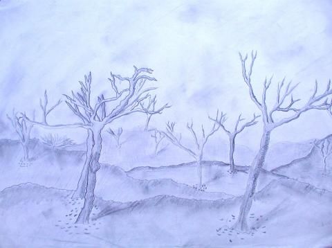 Archiv-Bild „Bäume“