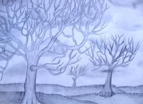 Archiv-Bild „Bäume“