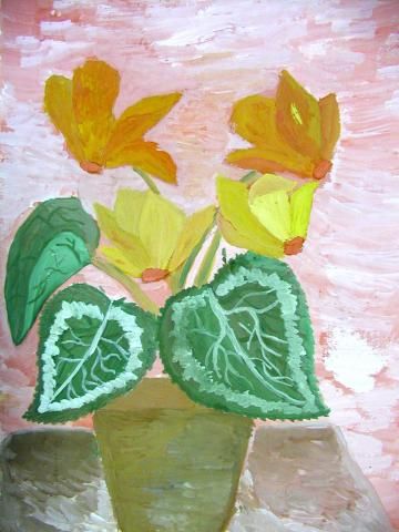 Archiv-Bild „Alpenveilchen“