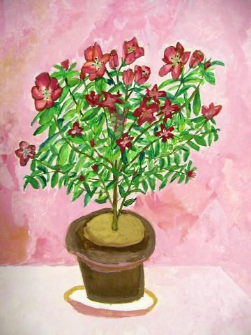 Archiv-Bild „Azalee“